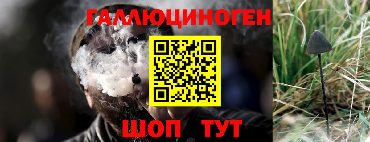Коммунар  Псилоцибиновые грибы Psilocybe  купить наркоту  Вход с VPN 