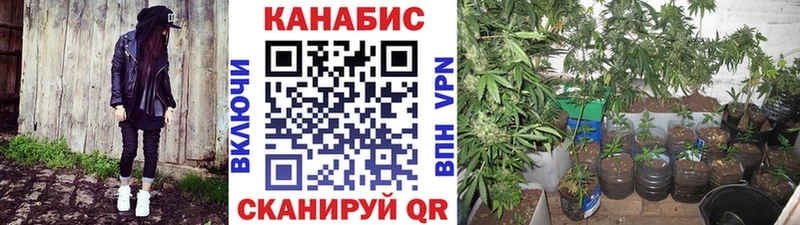 Шишки марихуана THC 21%  Коммунар 